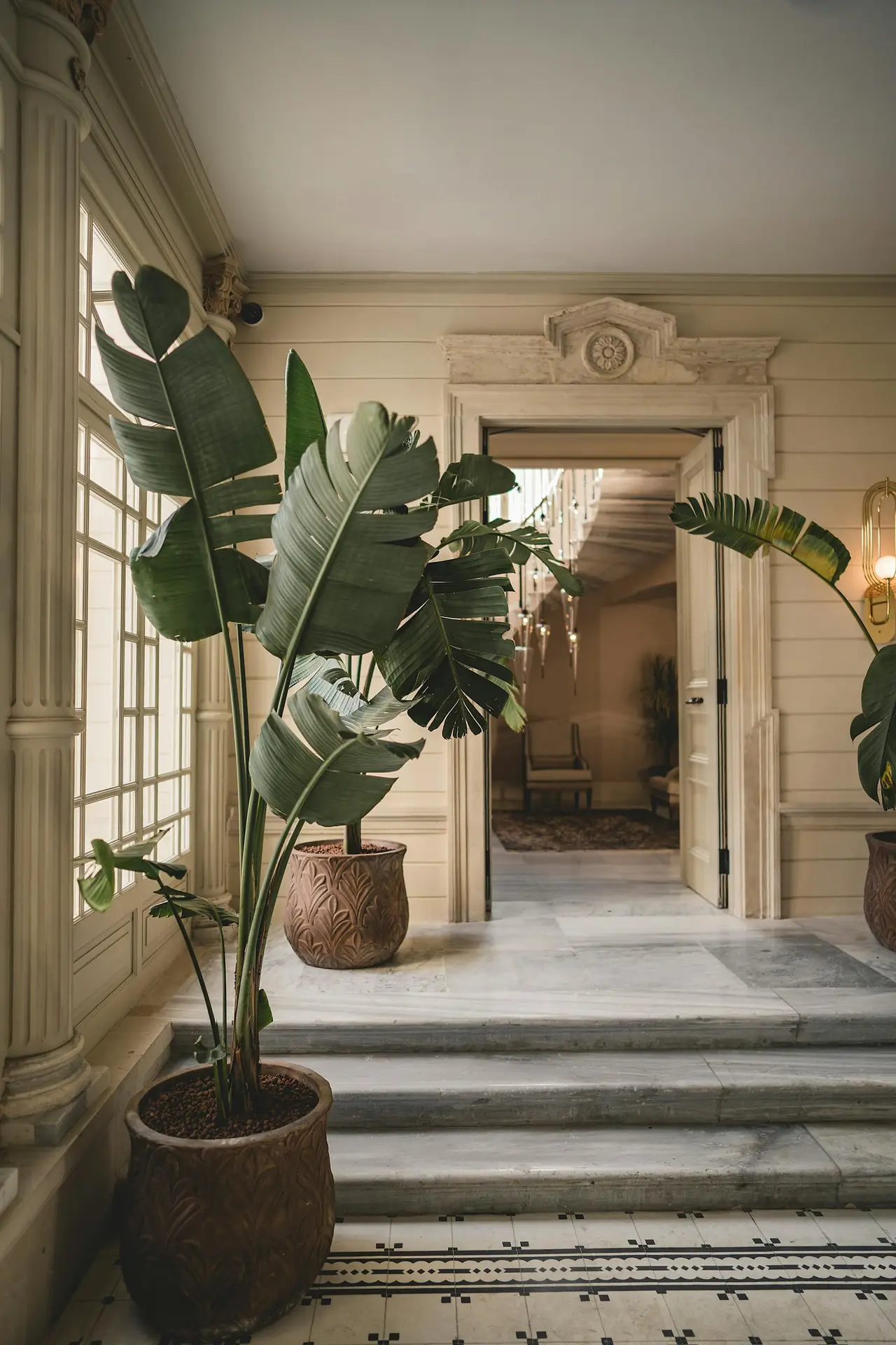 Luxurious interior with grand stairs and large green potted plants, exuding elegance and style.
