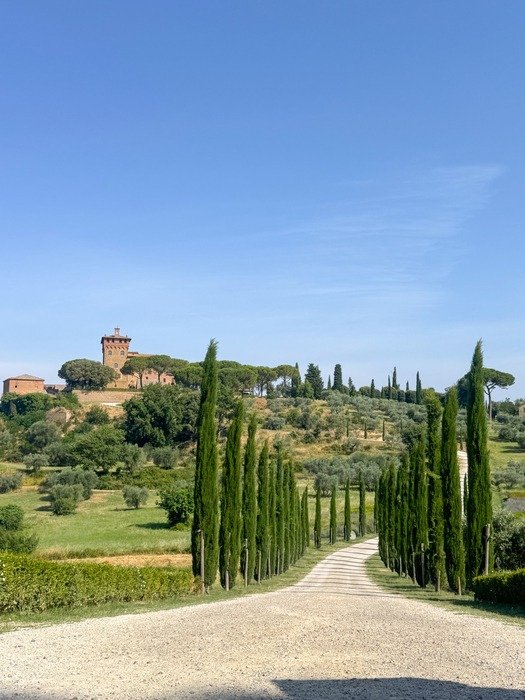 Scenic road lined with cypress trees in Val d’Orcia, one of the best things to do in Tuscany